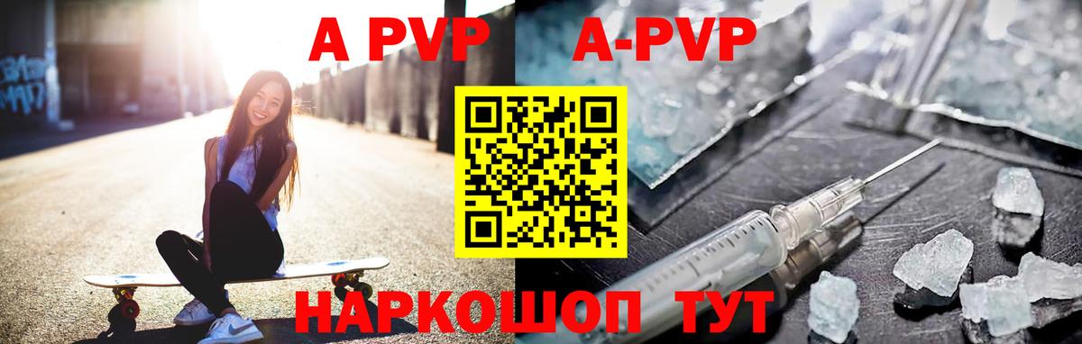 A PVP СК Печора