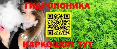 спиды Лесосибирск