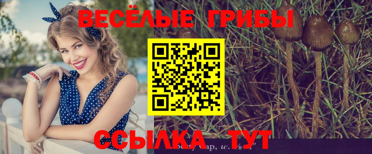 Псилоцибиновые грибы мицелий  Вход с VPN  магазин    Печора  Галлюциногенные грибы ЛСД 