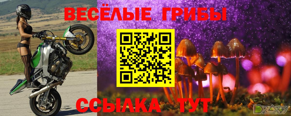 Галлюциногенные грибы Cubensis Печора